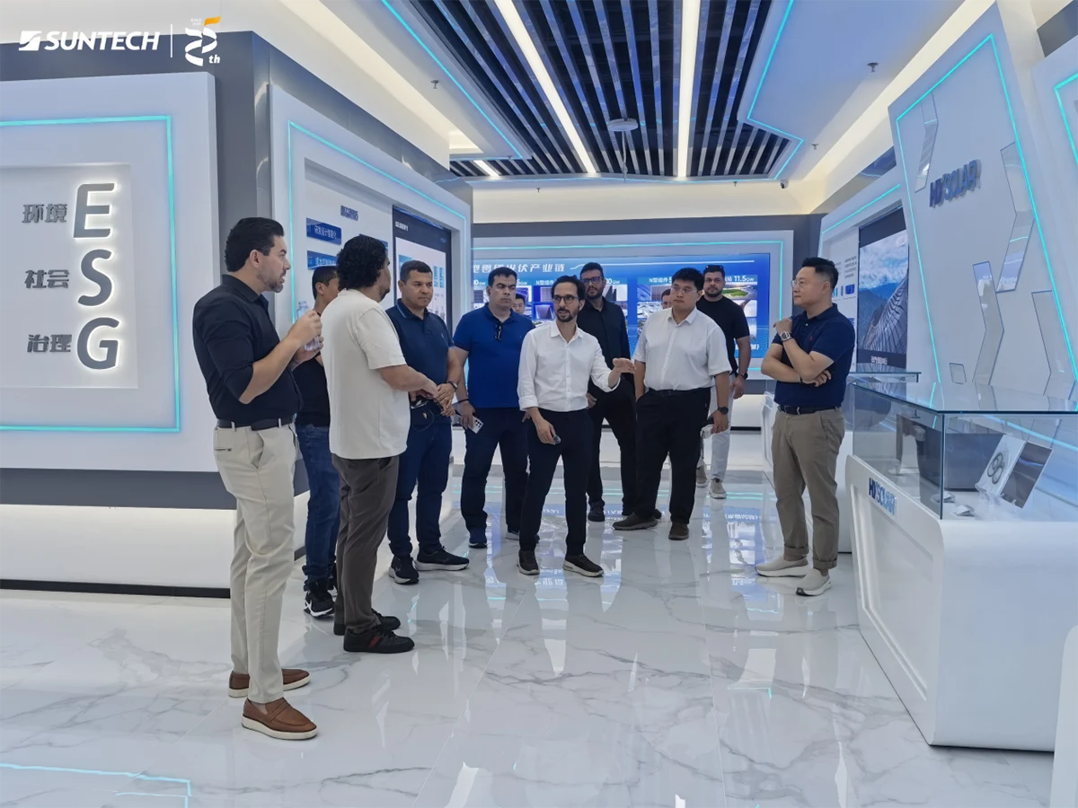 Brazilian Delegation Visits Suntech to Advance Strategic Cooperation in Latin America