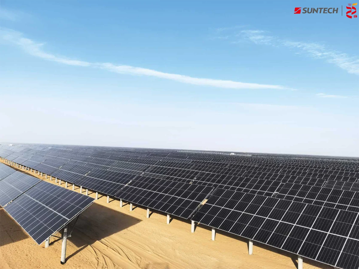 Over 25 Years of Driving Green Growth Across China's Desert Landscapes